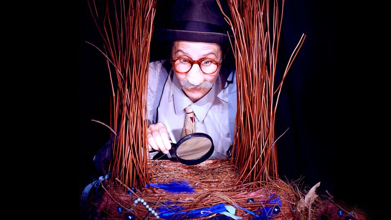 Jeremy Lavender