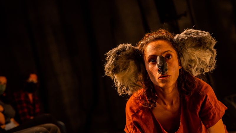 Ashley Smith-Wide Eyed Studios