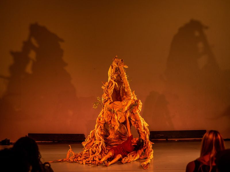 Ashley Smith-Wide Eyed Studios