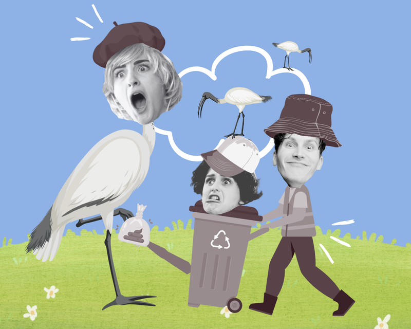 CHARLIE & THE BIN CHICKEN
